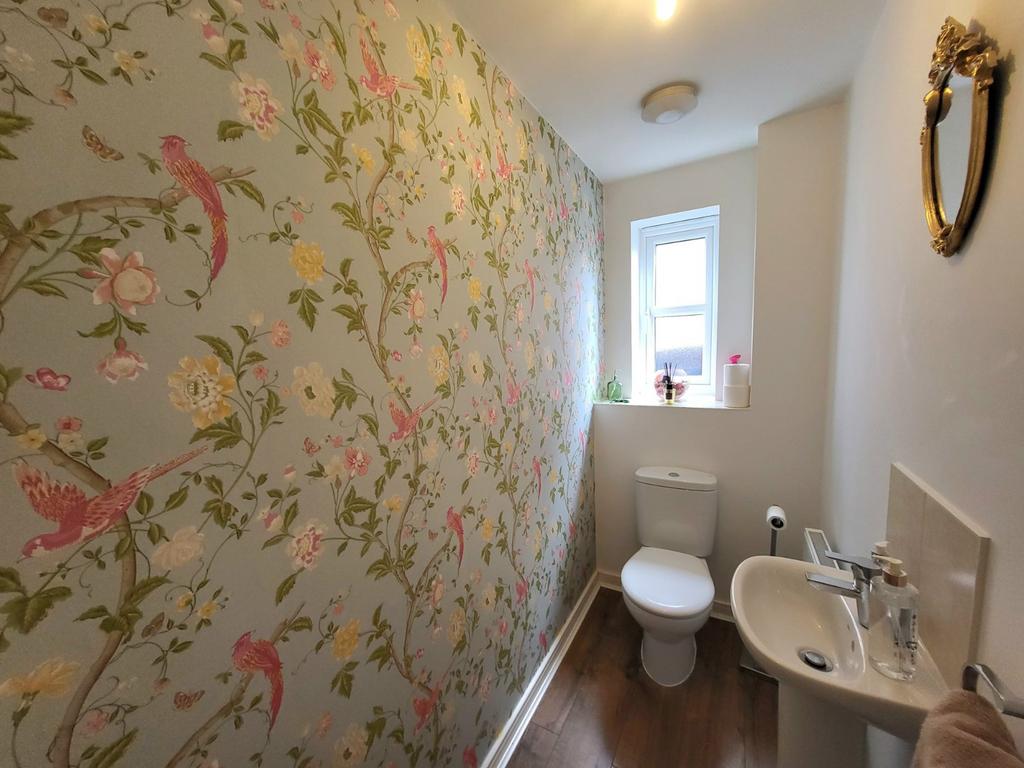 Picture 8