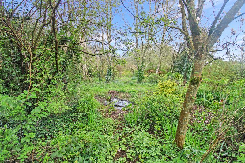 Wooded garden