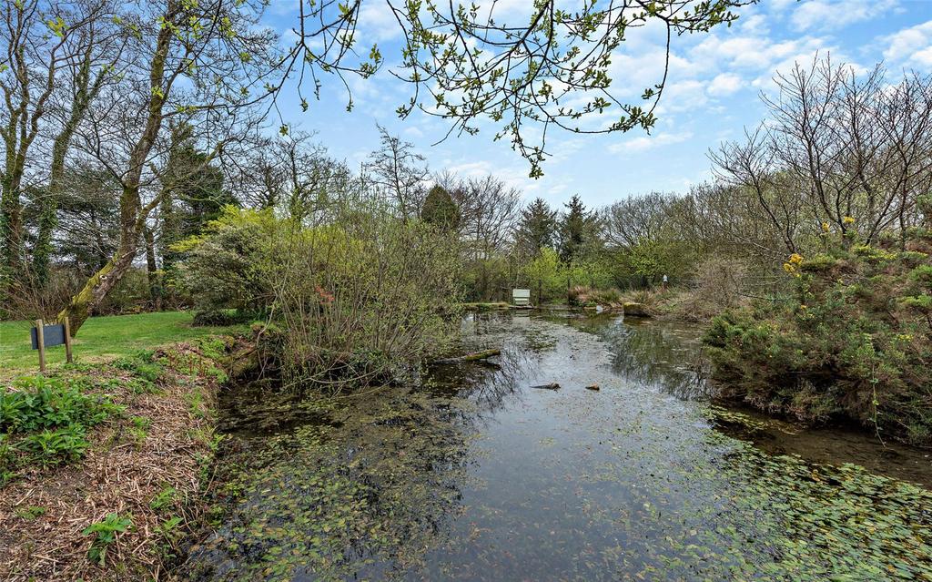Pond and Lake
