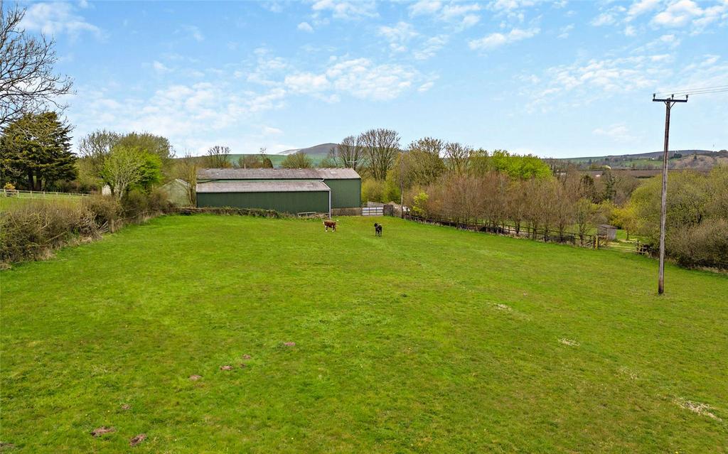 Pasturefield