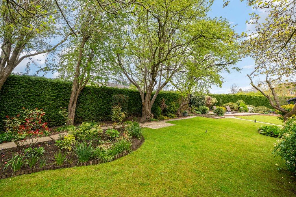 Superb Garden