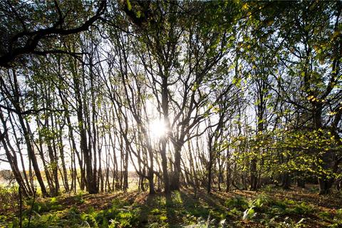 Land for sale, Puddle Wood, Ormiston, Tranent, East Lothian, EH35