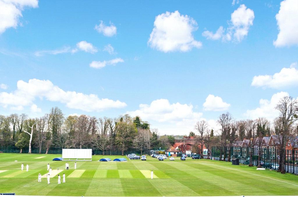Cricket Pitch View