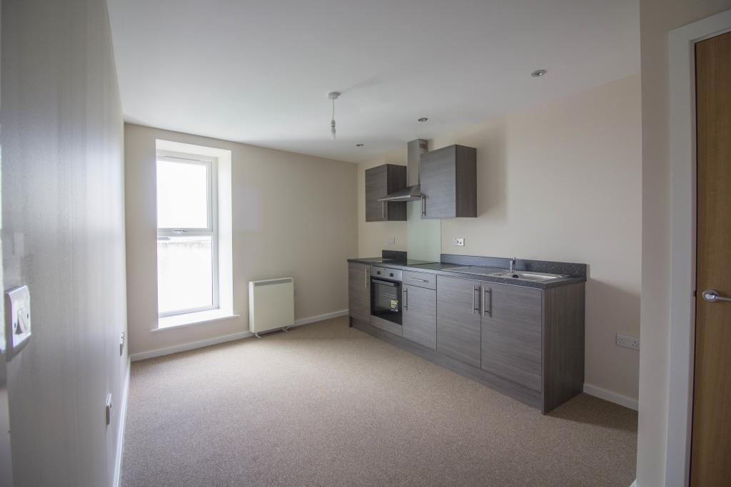 Open Plan Kitchen and Living Area