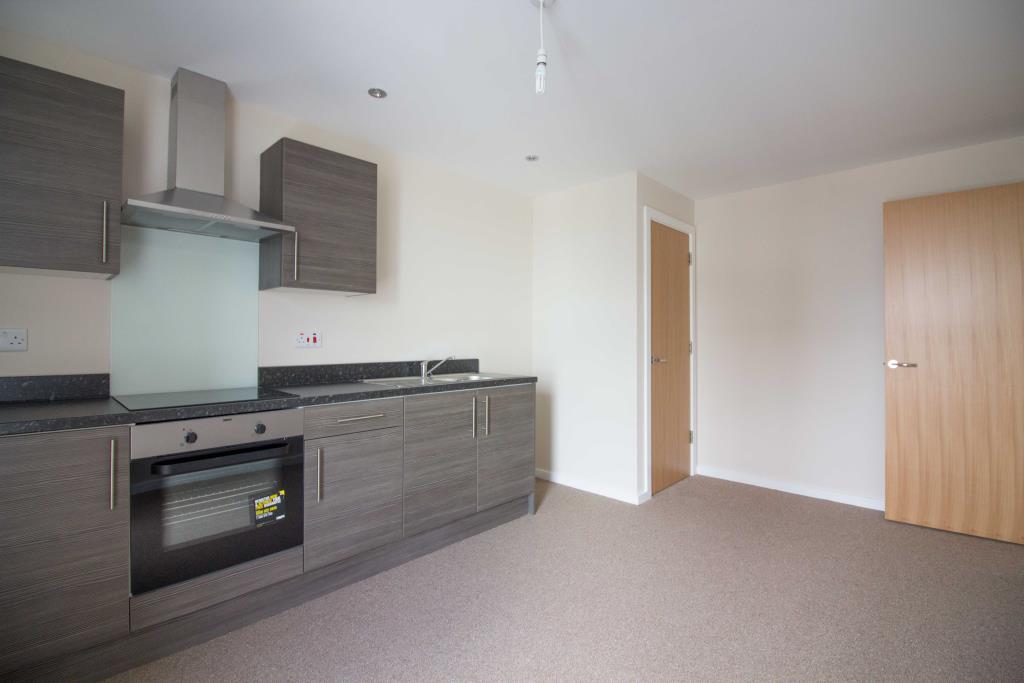 Open Plan Kitchen and Living Area