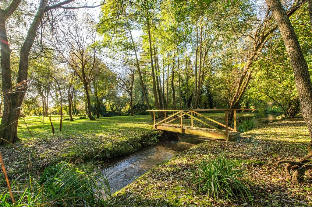 Woodland and Stream