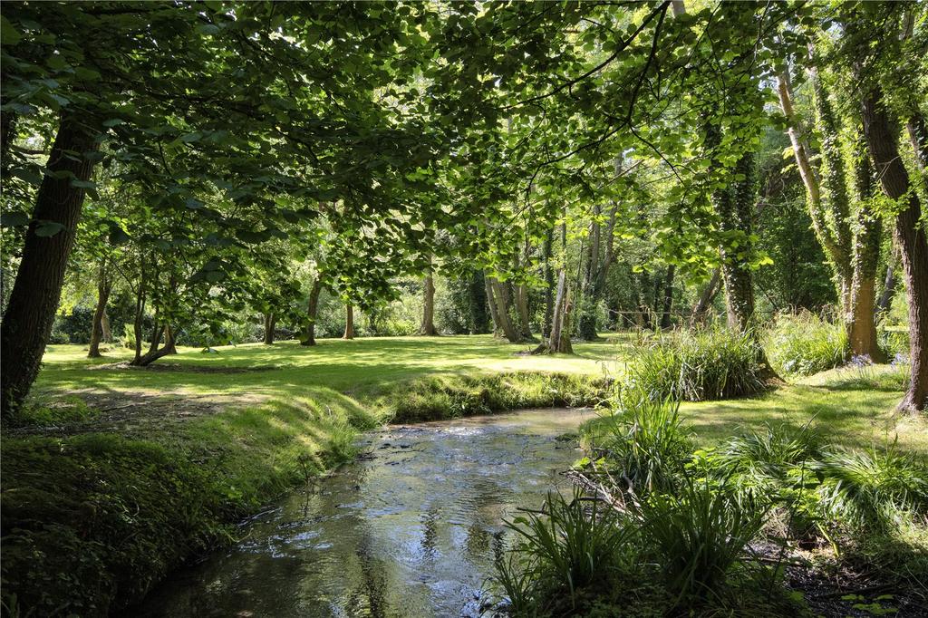 Woodland and Stream