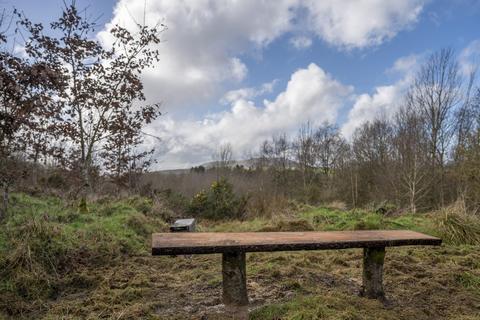 Woodland for sale, The Bog, Misterley, Shropshire SY5