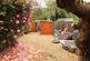 Garden 1