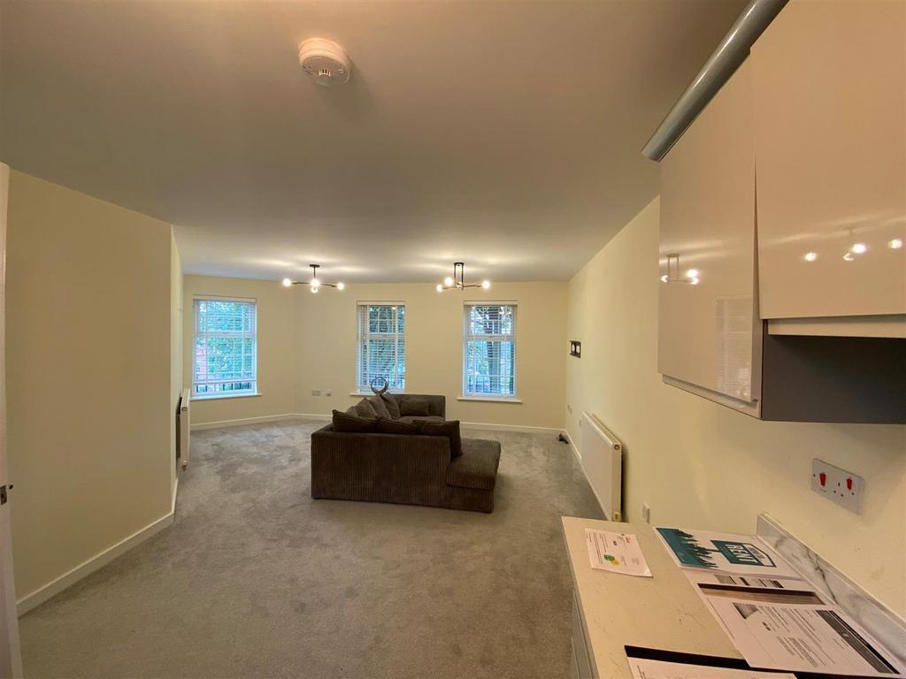 Living Room / Kitchen