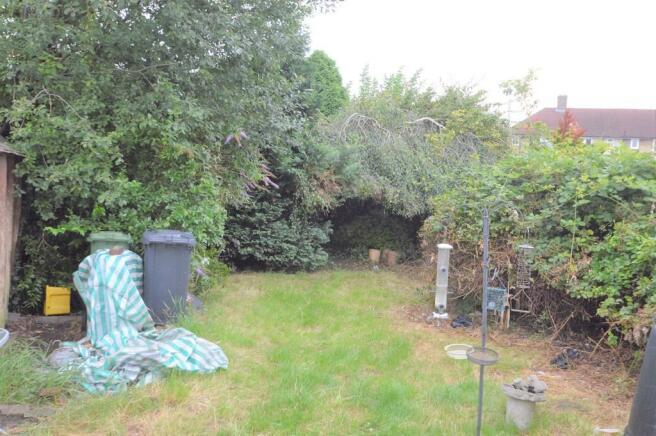 Garden.jpeg