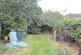 Garden.jpeg