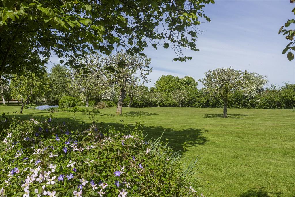 Orchard