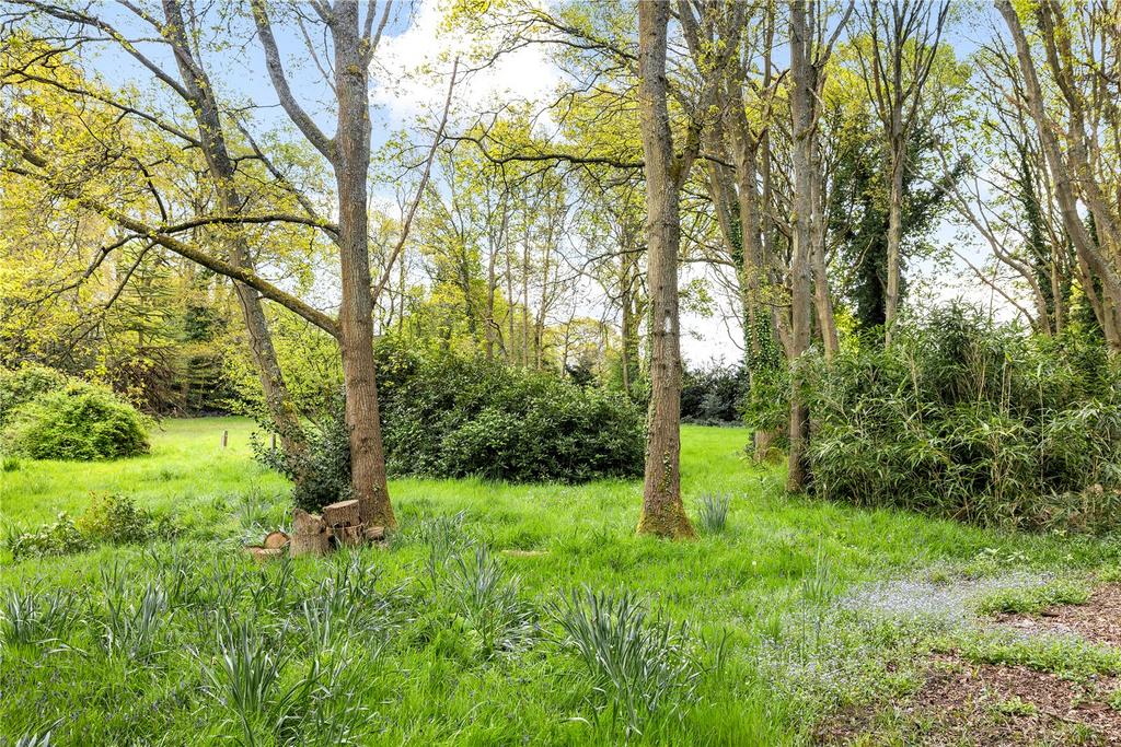 Woodland Walk