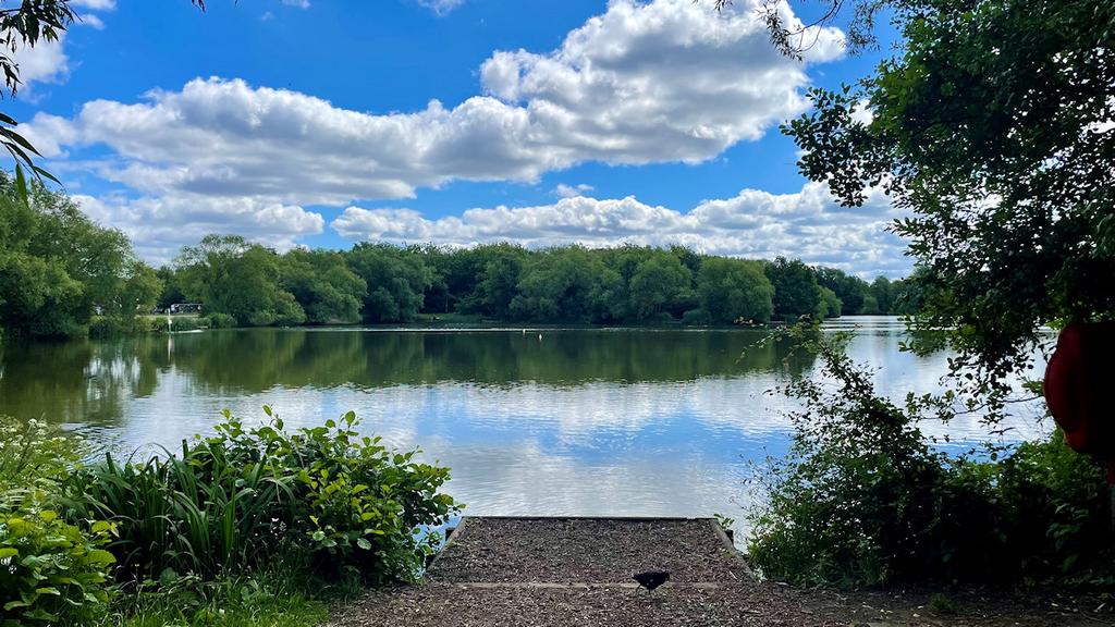 Goldsworth Park lake