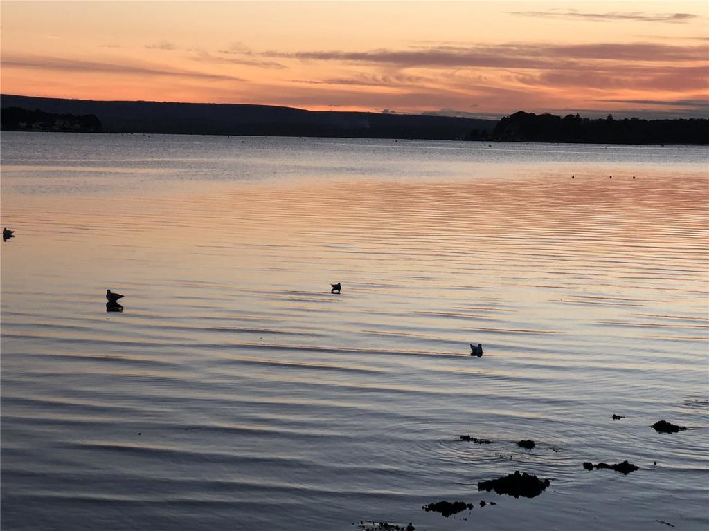 Sunset View