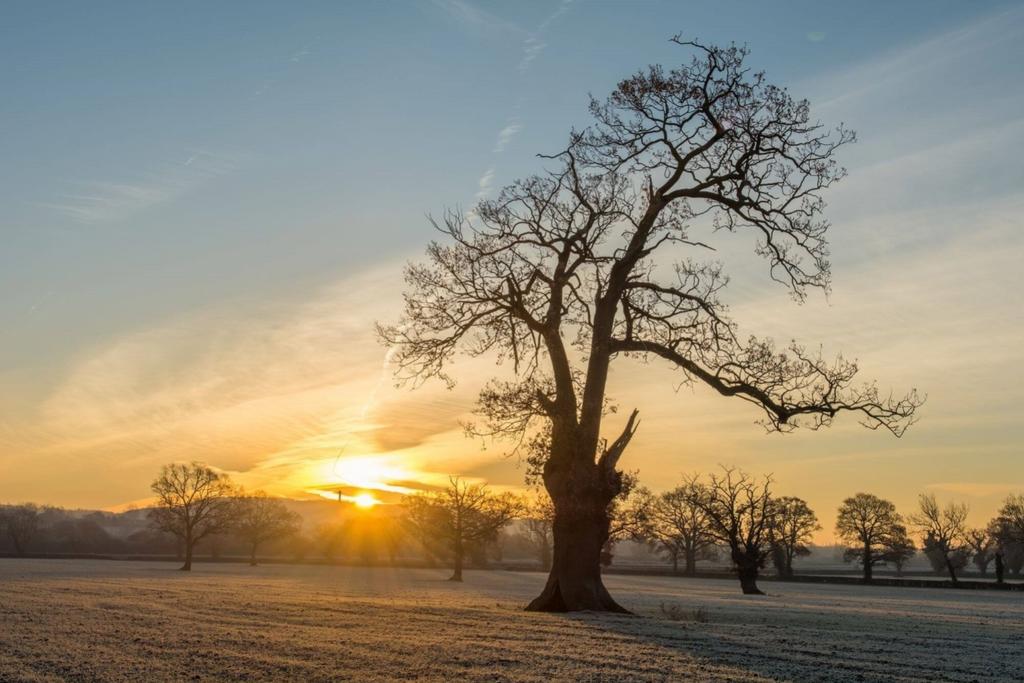 Lrg Ashton Court 2