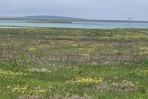 Plot for sale, Balfour, Orkney KW17