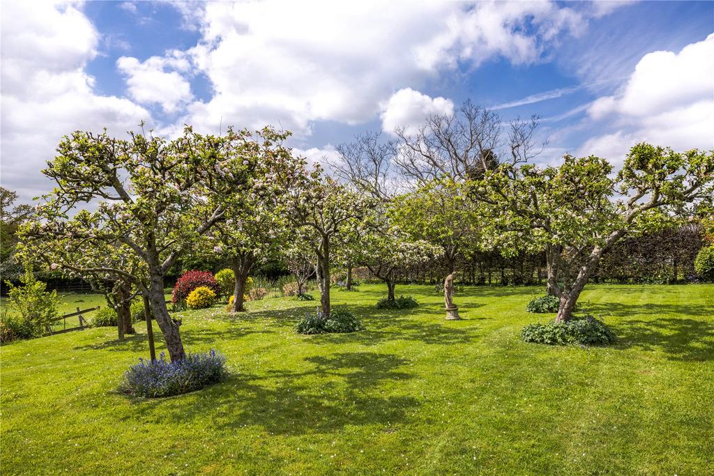 Orchard