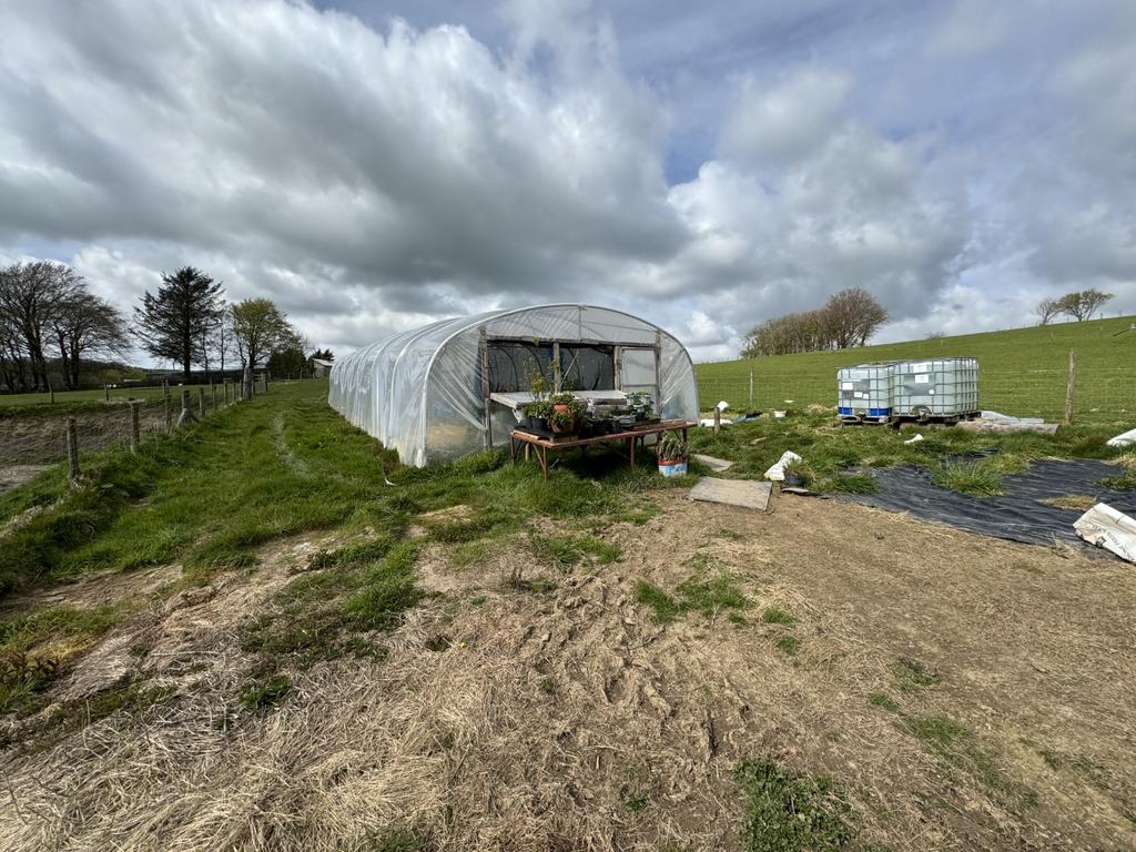 Polytunnel