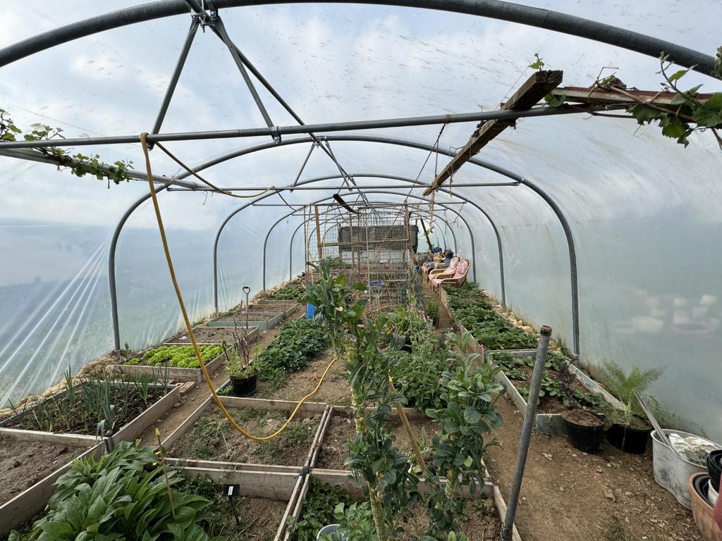 Polytunnel