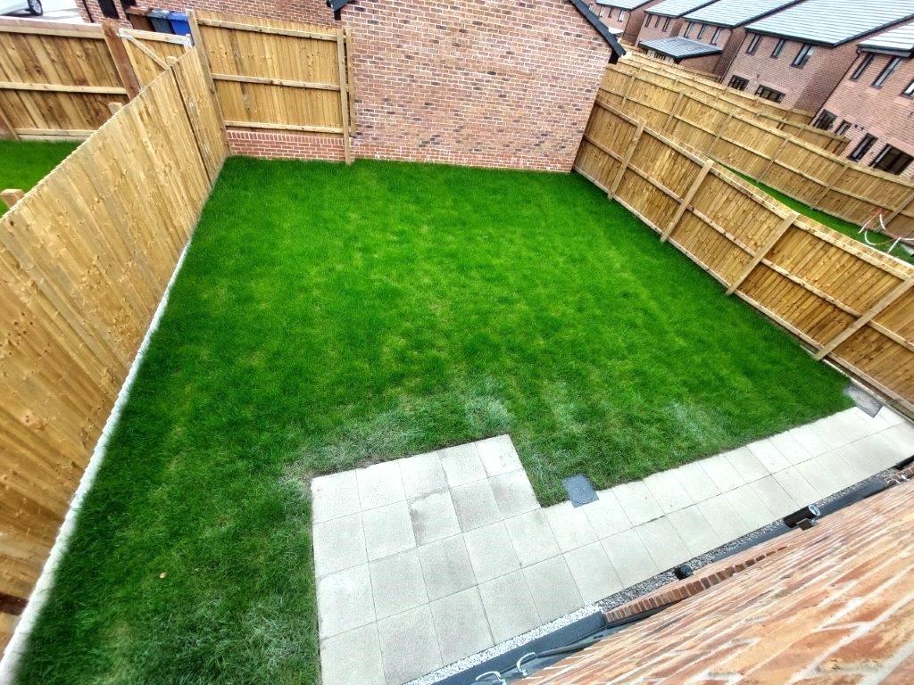 Rear Lawn Garden