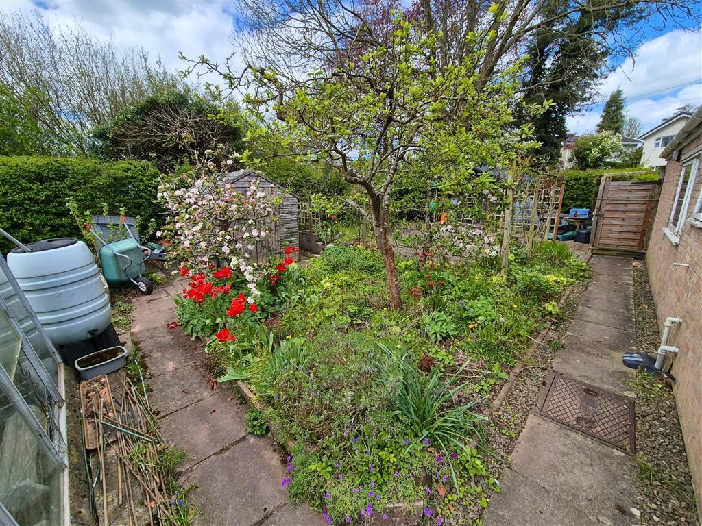 Photo 17