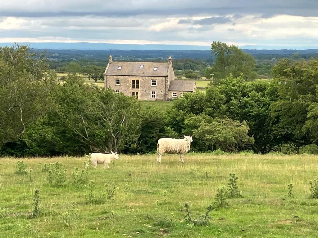 Main House