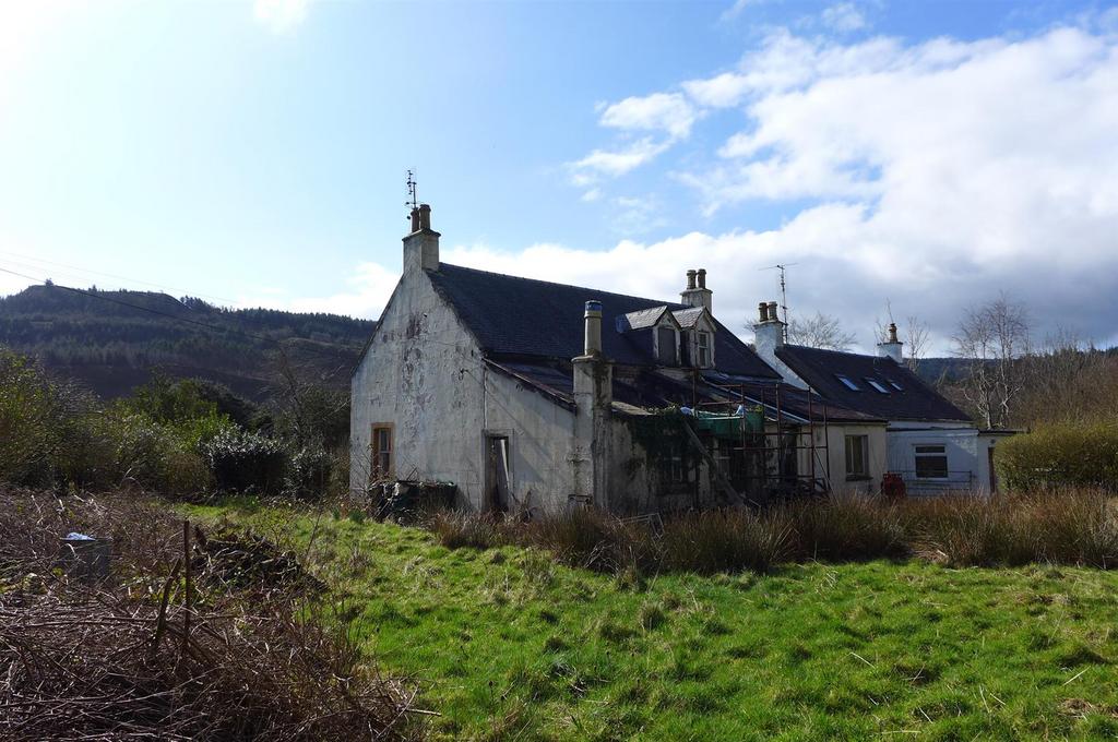 Caberfeidh Rear