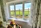Window View.jpg