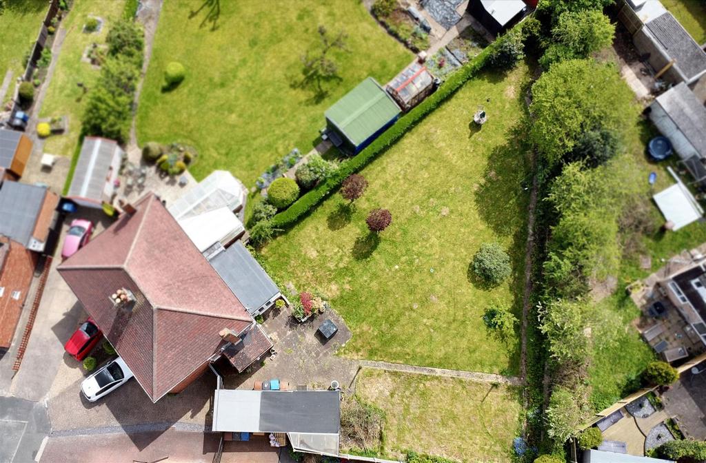 Garden 2.jpeg