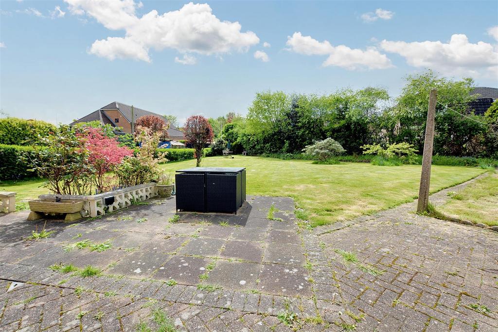 Garden 9.jpeg