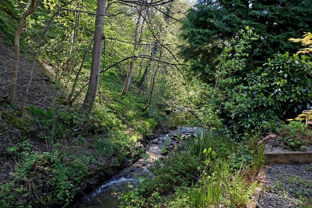 Adjacent stream and woodland