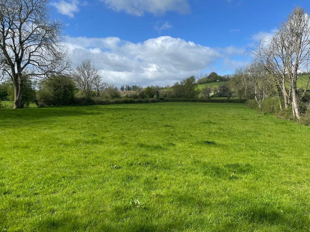 Lot A Pillmead Lane, Wedmore, BS28 Farm land for sale £30,000