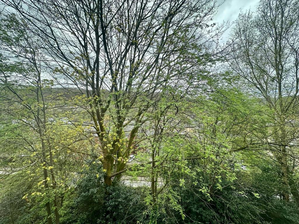 Photograph 21