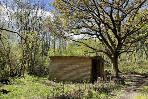 Woodland for sale, Gwehelog NP15