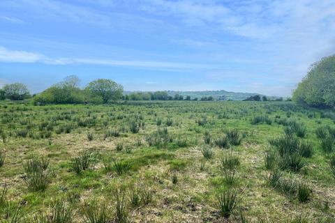 Farm land for sale, Lot B - Walton Drove, Kings Sedgemoor, Somerton, BA16
