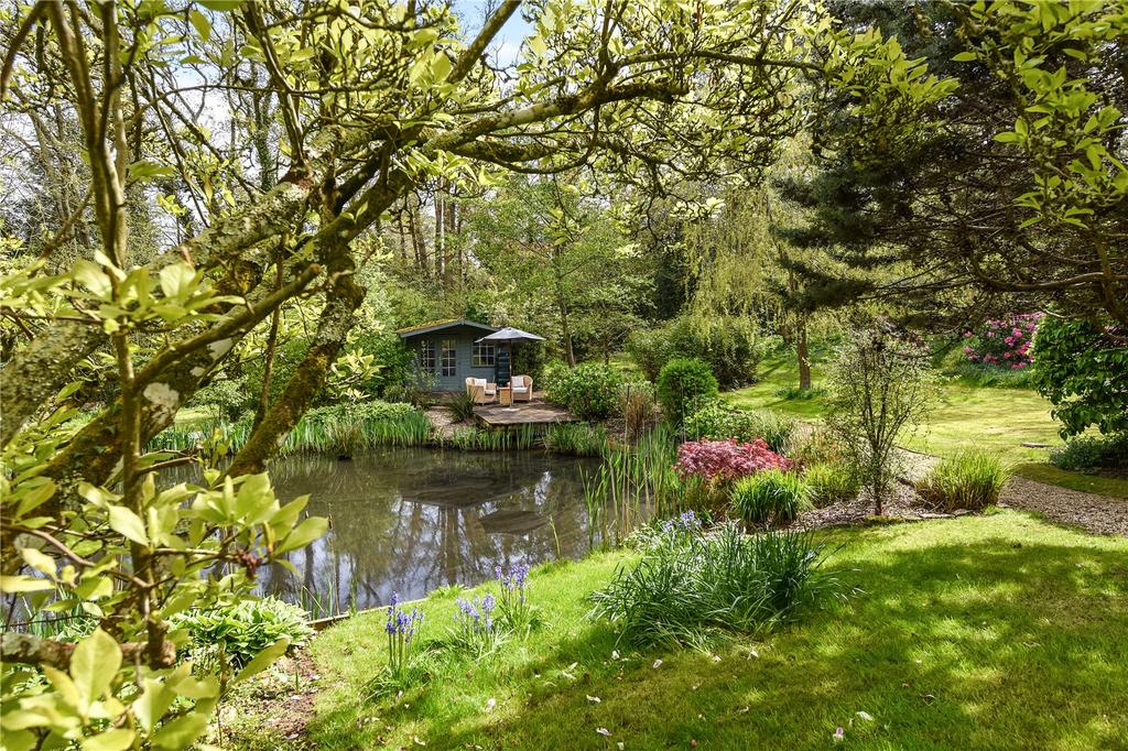 Pond