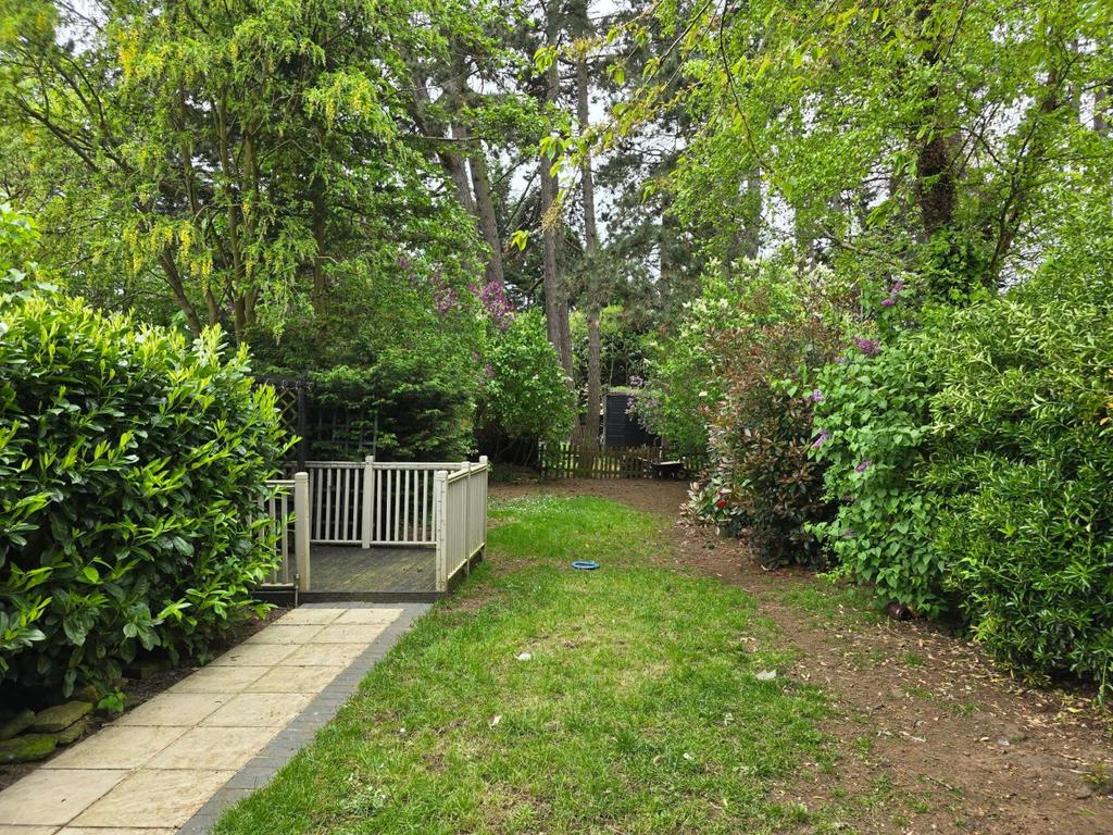 Rear garden