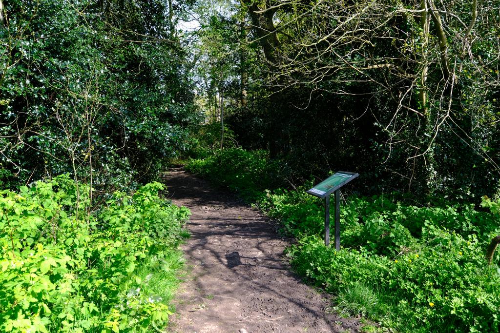 Entrance To Cut Throat Coppice