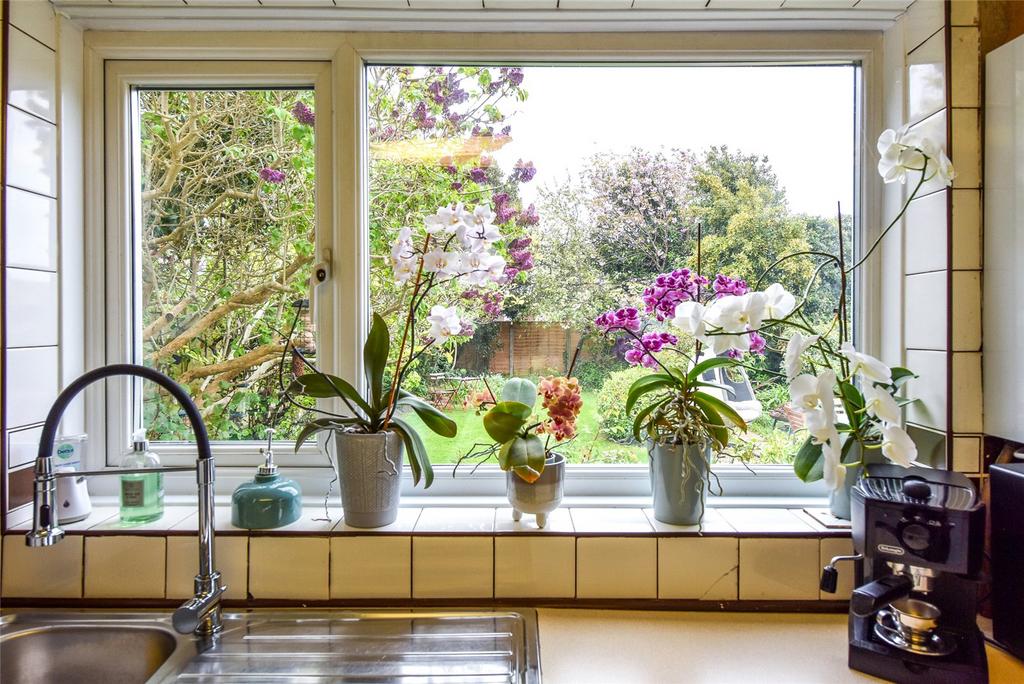 View To Garden