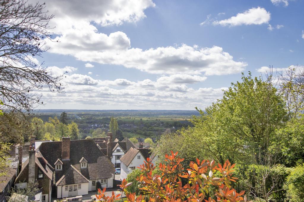 View From Garden