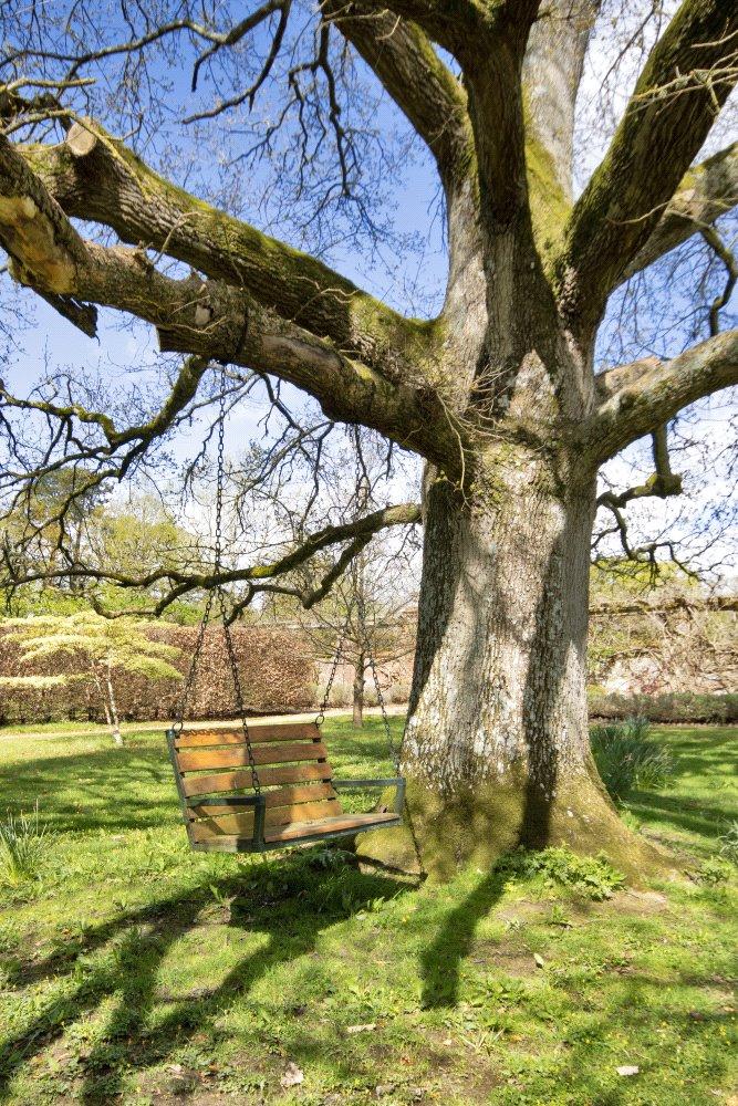 Orchard