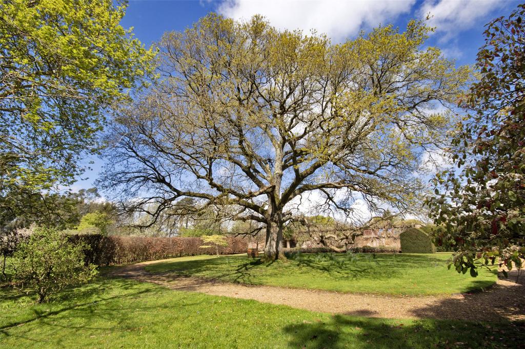 Orchard
