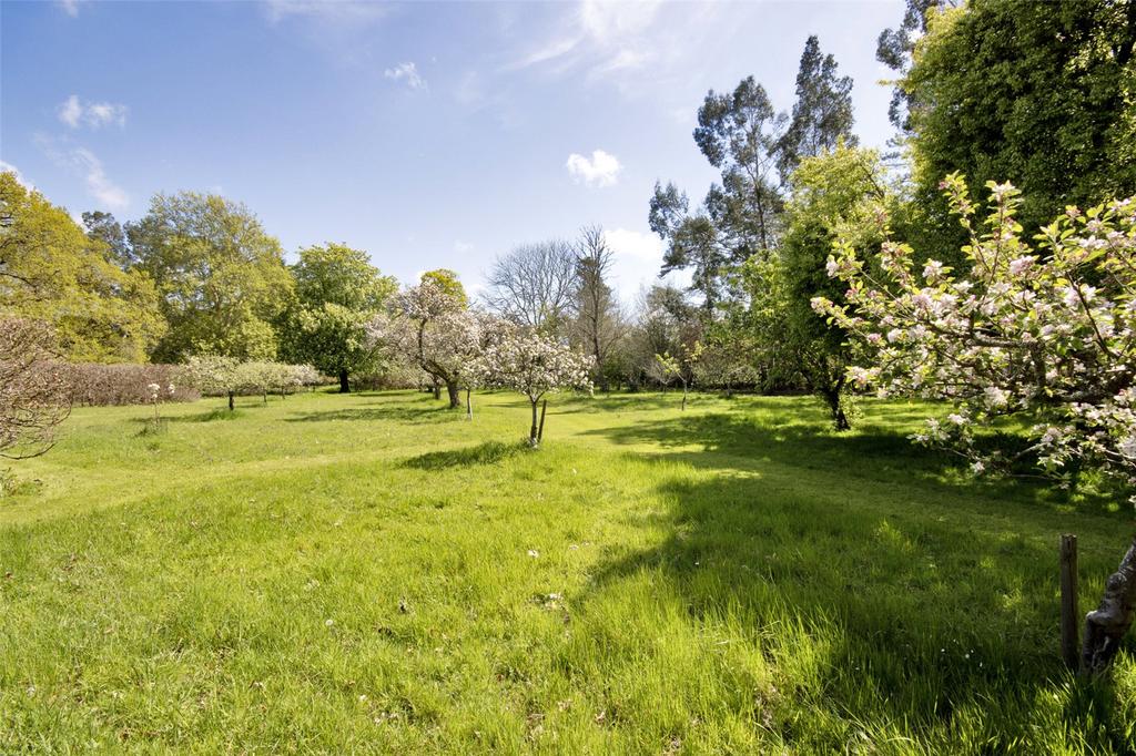 Orchard