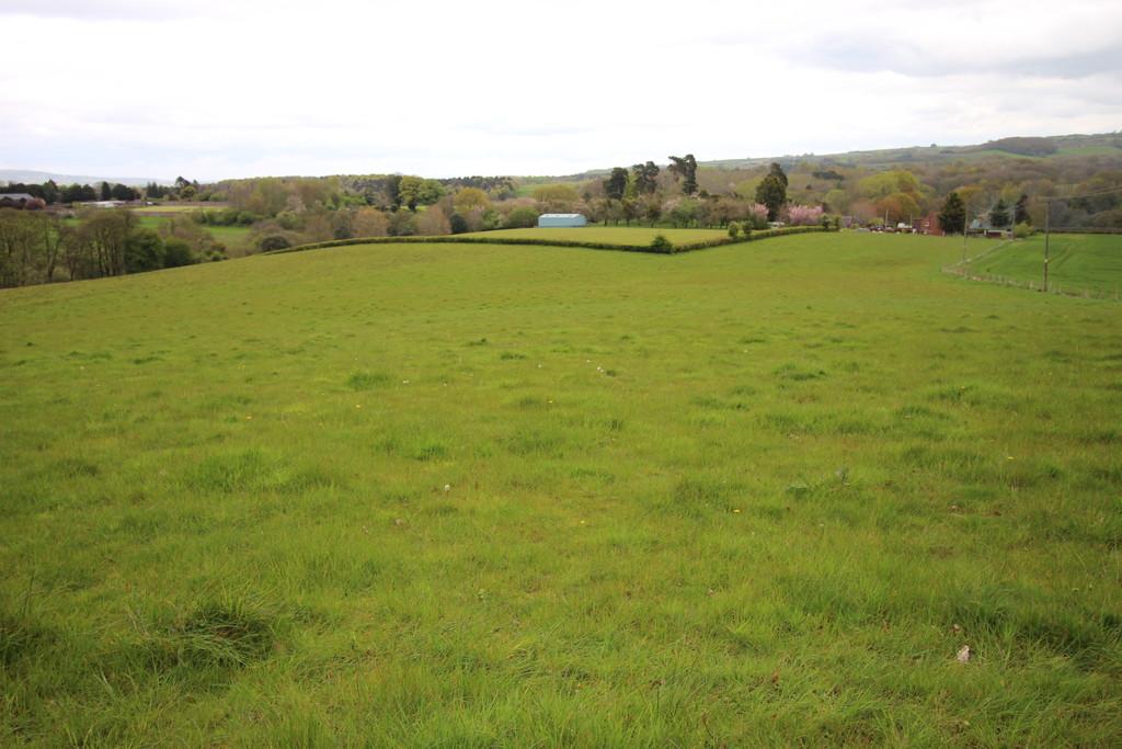 Land at The Oaks, Stoke Bliss... Land for sale £125,000