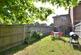New garden 1 .JPG