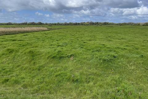 undefined, Braunton