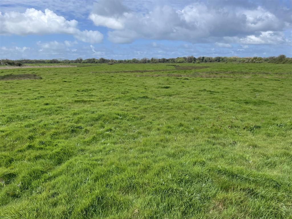 Land