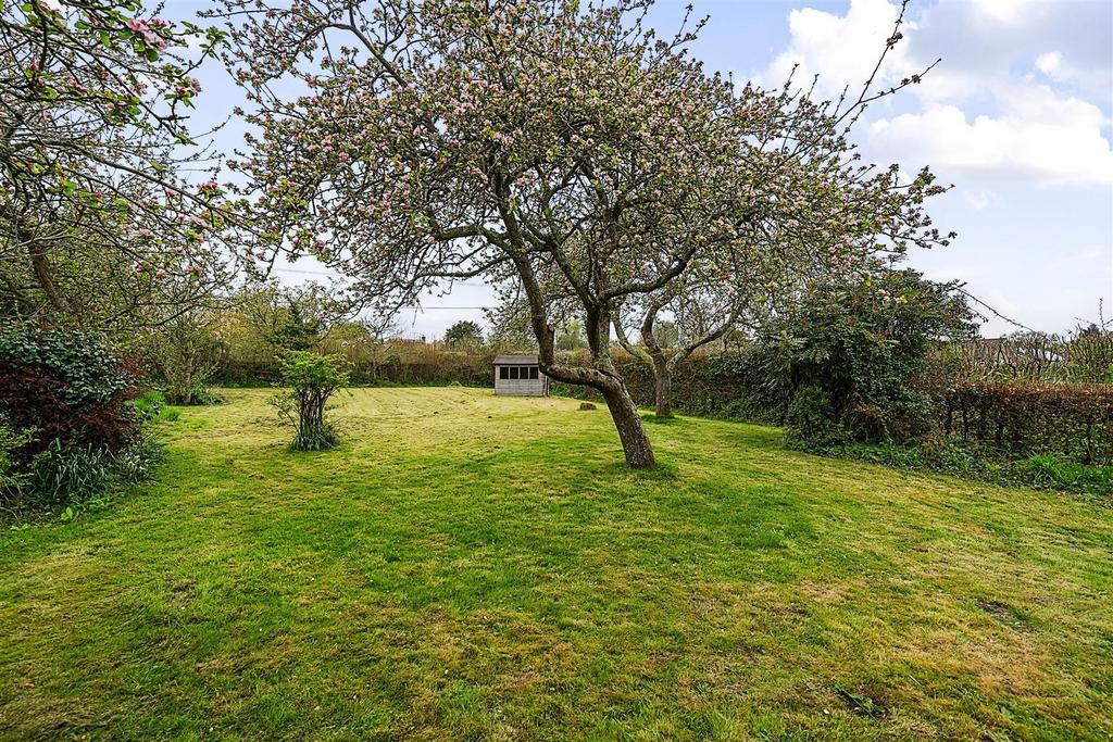 Garden.jpg
